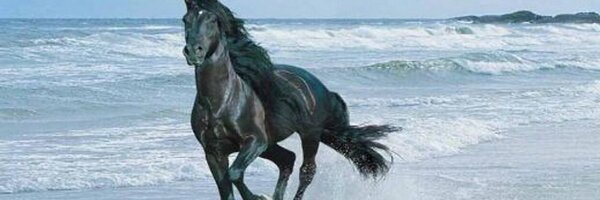 alnagar80 Profile Banner