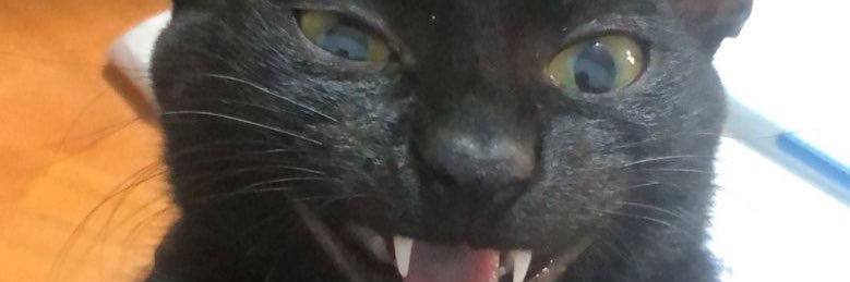 ONY banner
