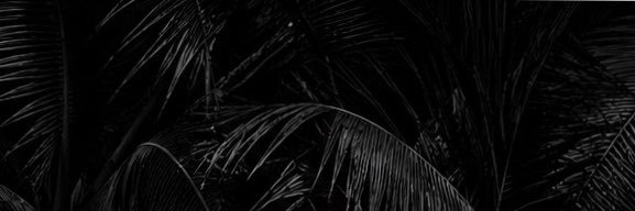 CaliClipz's profile banner image