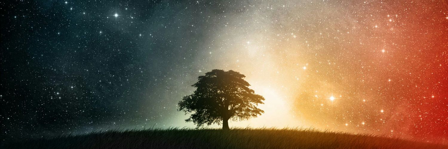 sellalles_'s profile banner image