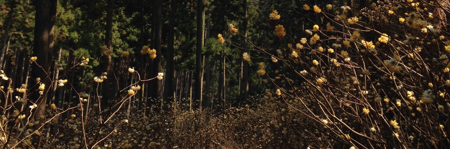 run_s0128's profile banner image