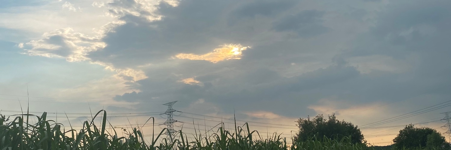 Ji_a_1's profile banner image