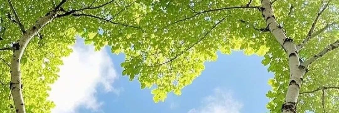 تمارا banner