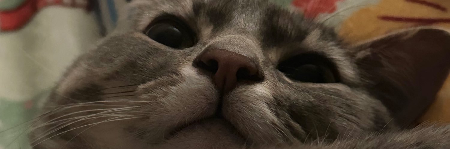 stephhms's profile banner image
