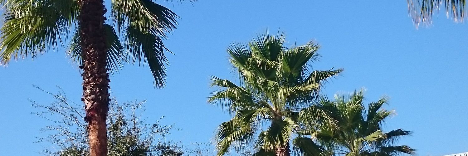 Noel Rehm Weather banner