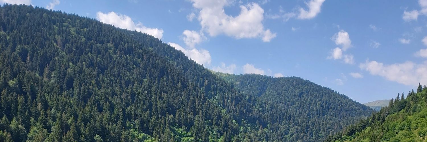Tarık Yurtlu banner