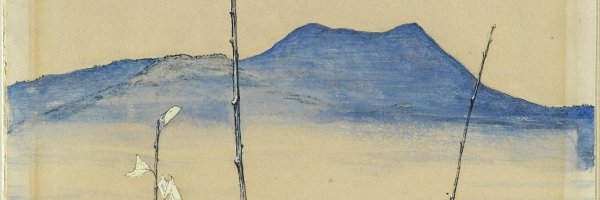 Felicitas Söhner banner