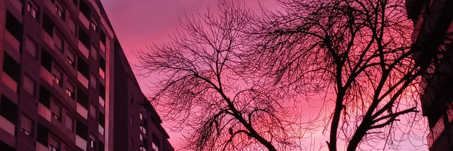 SooofiFlores's profile banner image