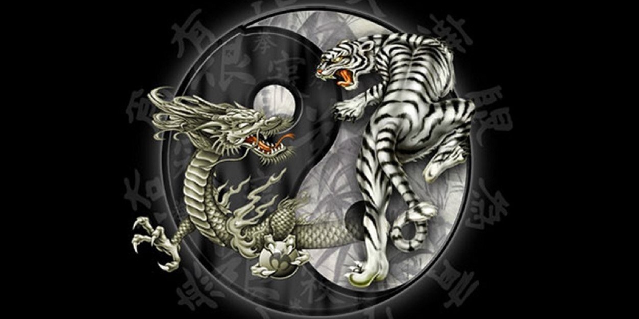 STorkostany's profile banner image