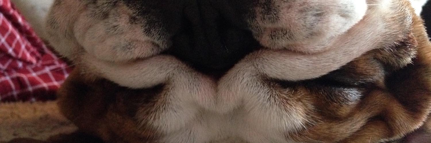 kizzler22's profile banner image