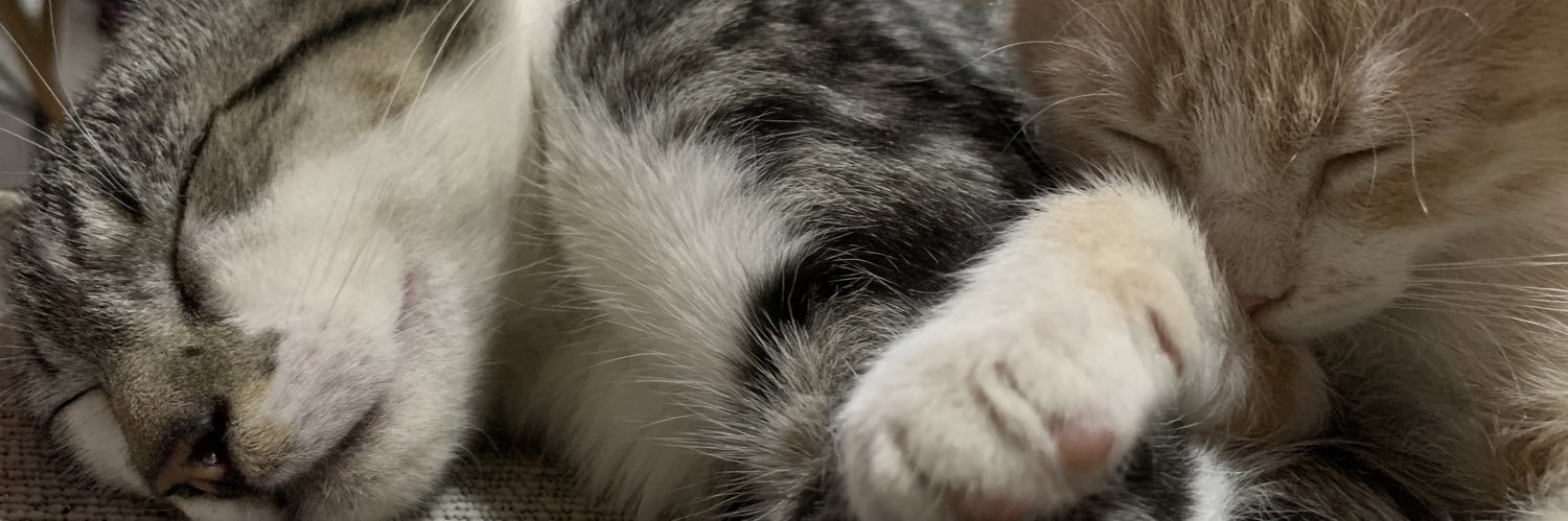 Melimirandaf's profile banner image