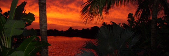 warrenFtLFL 🇺🇸 🏳️‍🌈 banner