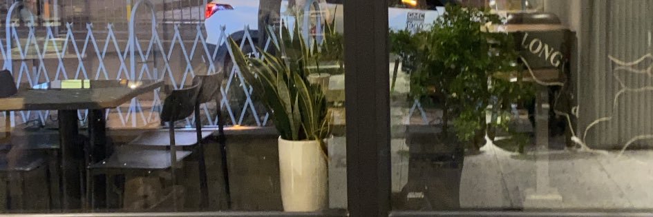 Bug Bug banner