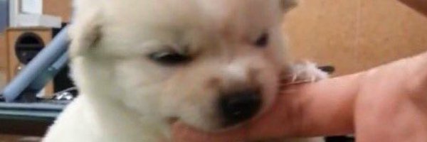 me1uary Profile Banner