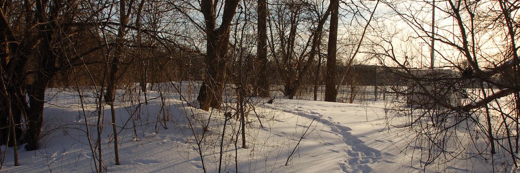 StuartClark's profile banner image