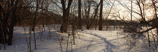 StuartClark Profile Banner