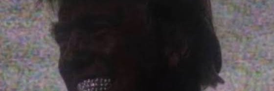 Gray Little Foot banner