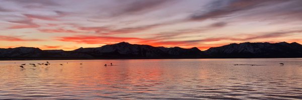 HasanHumna Profile Banner