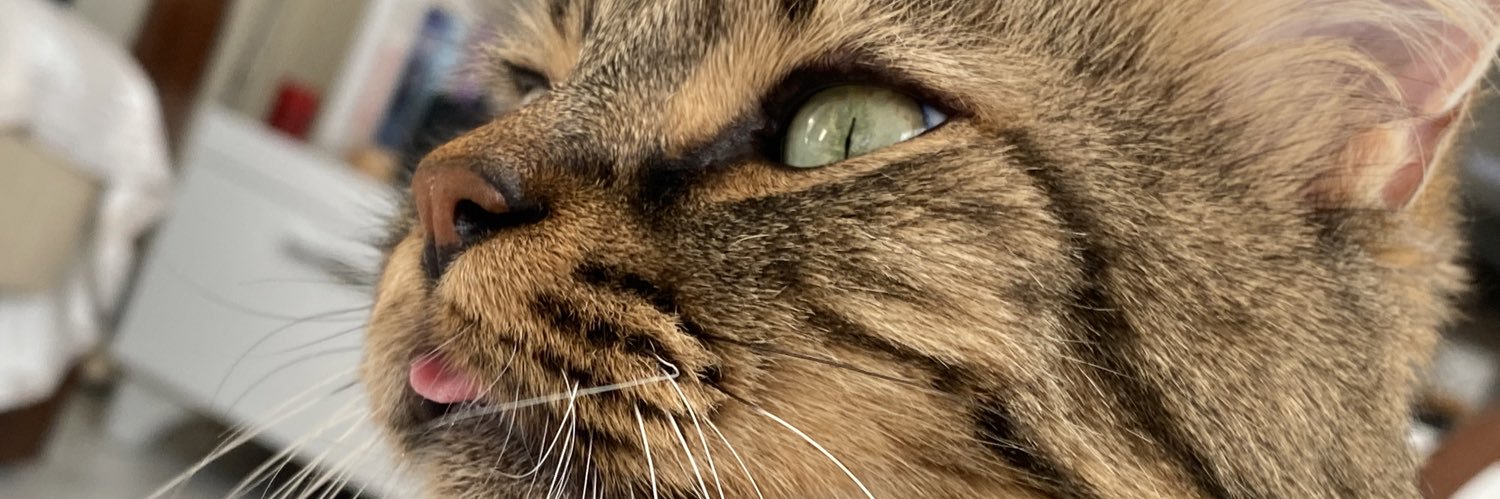 Isnkrtcbe's profile banner image