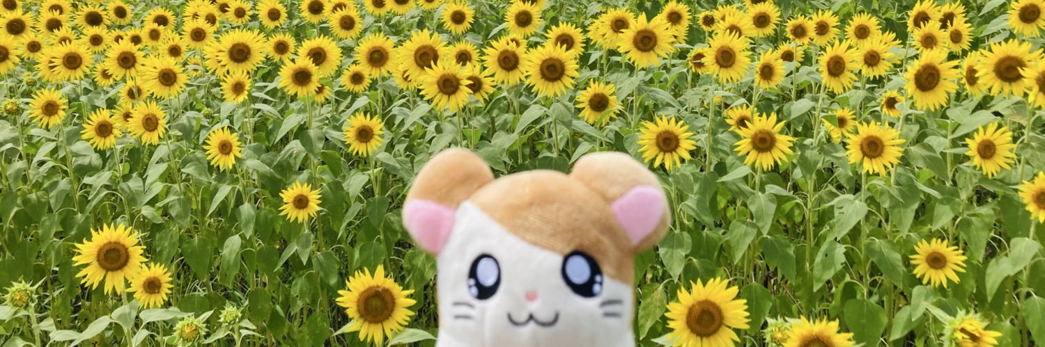 ynsn_hakkasm's profile banner image