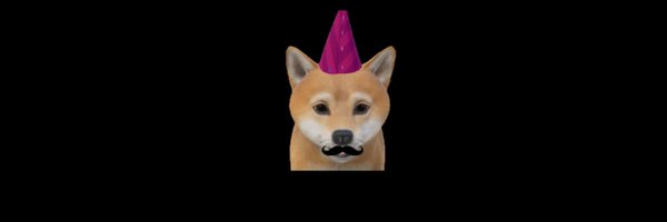 XFLOKICOIN Profile Banner