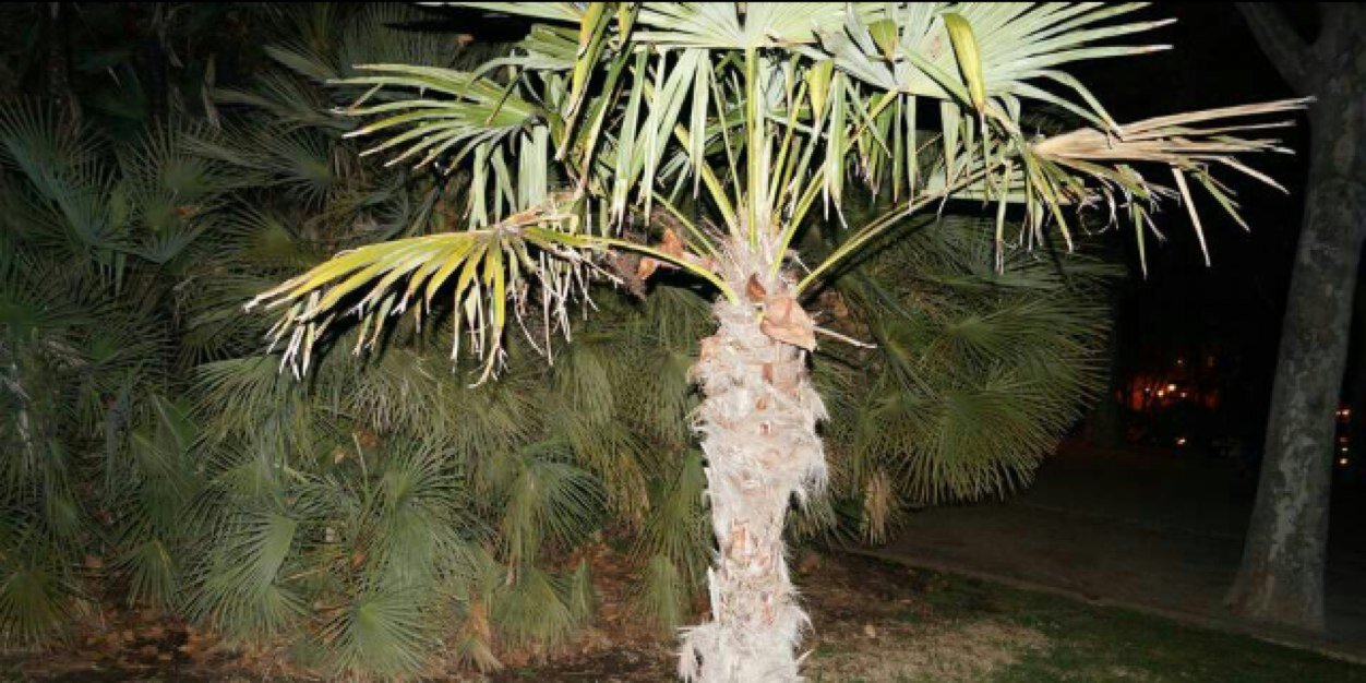 FreddyFenty's profile banner image