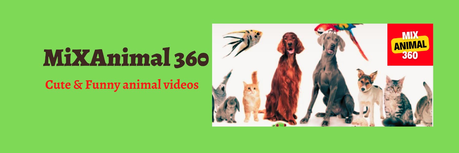 JackBar39157516's profile banner image