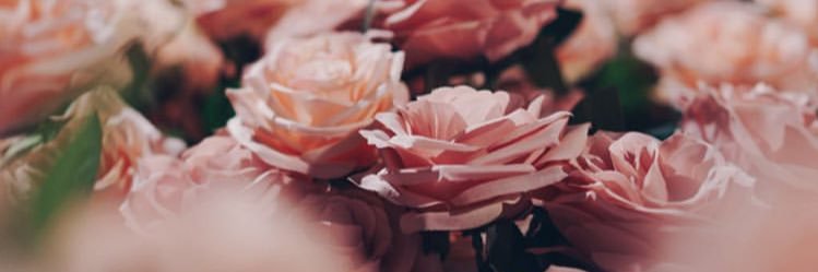 petelttob's profile banner image