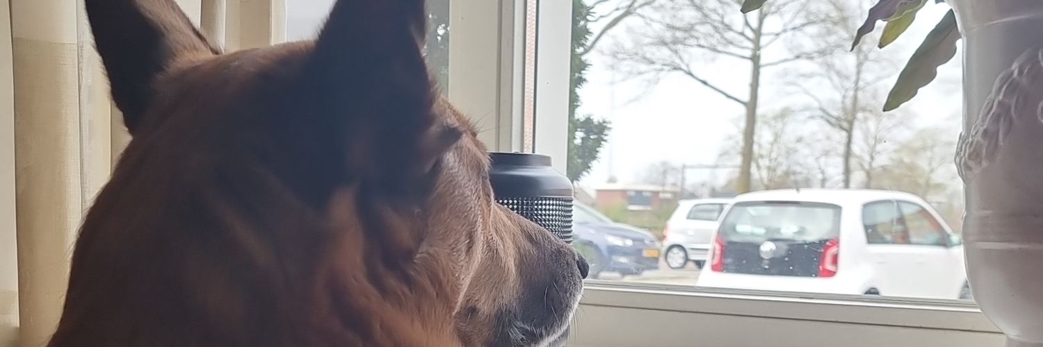 Just Ale𝕏 𝕏 𝕏 🇳🇱 banner