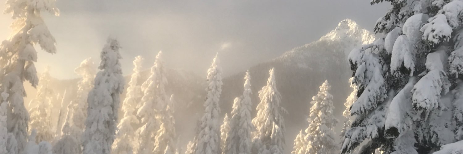 drtonibest's profile banner image