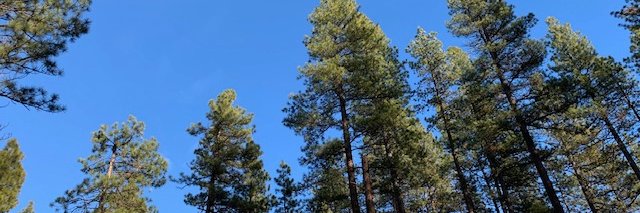 OregonNewEconomy banner