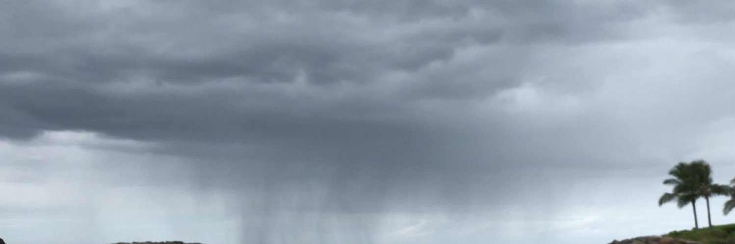 KinleyBaker's profile banner image