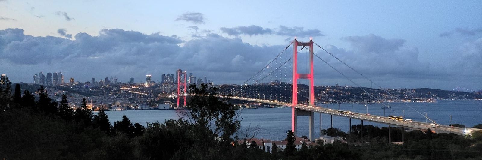 aleynacapaar's profile banner image