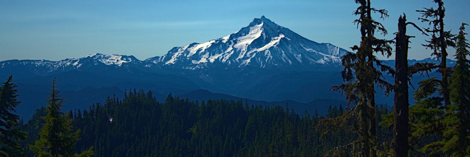 Curiosus Mentis banner