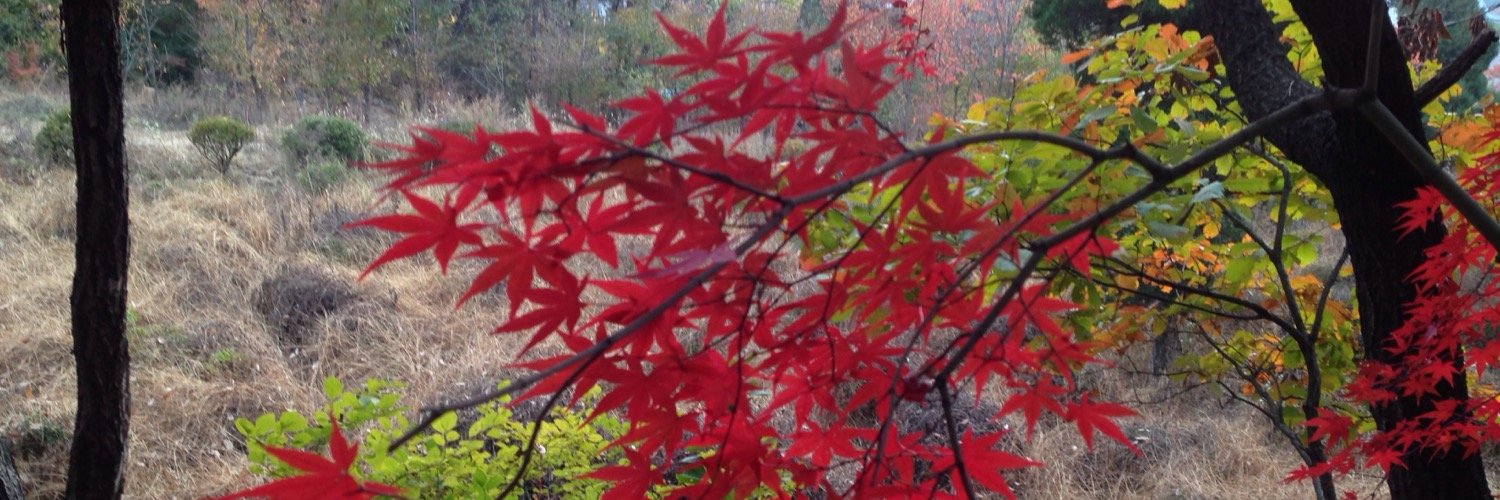 autumnmin's profile banner image