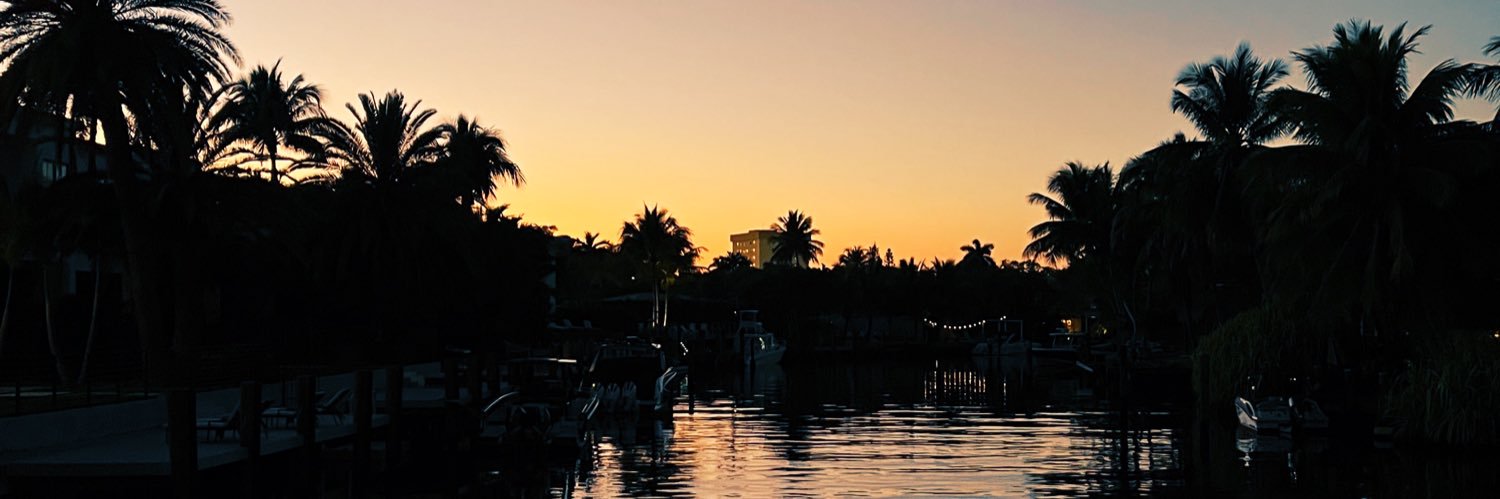 John Sullivan Hamilton banner