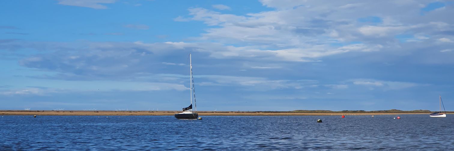 Ali is no longer on X banner