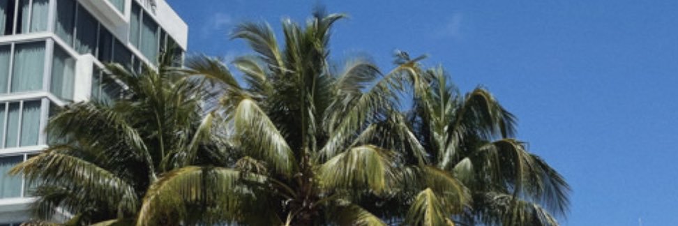 arwa banner