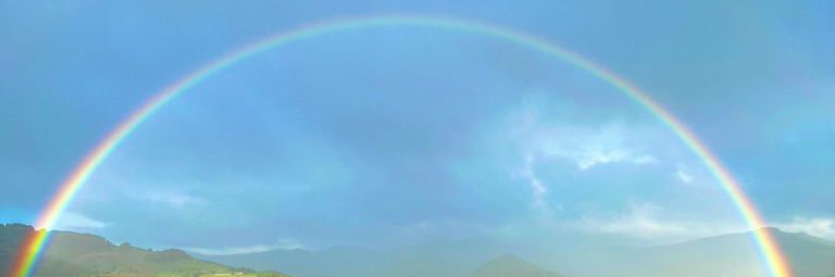 saku0713's profile banner image