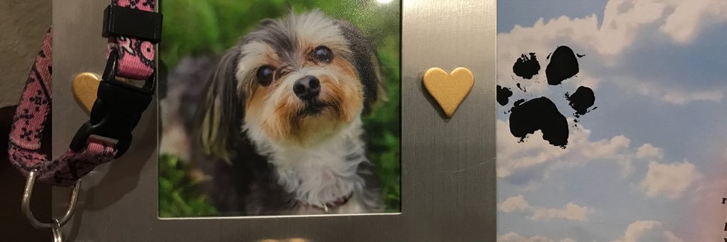 KellyBell96's profile banner image