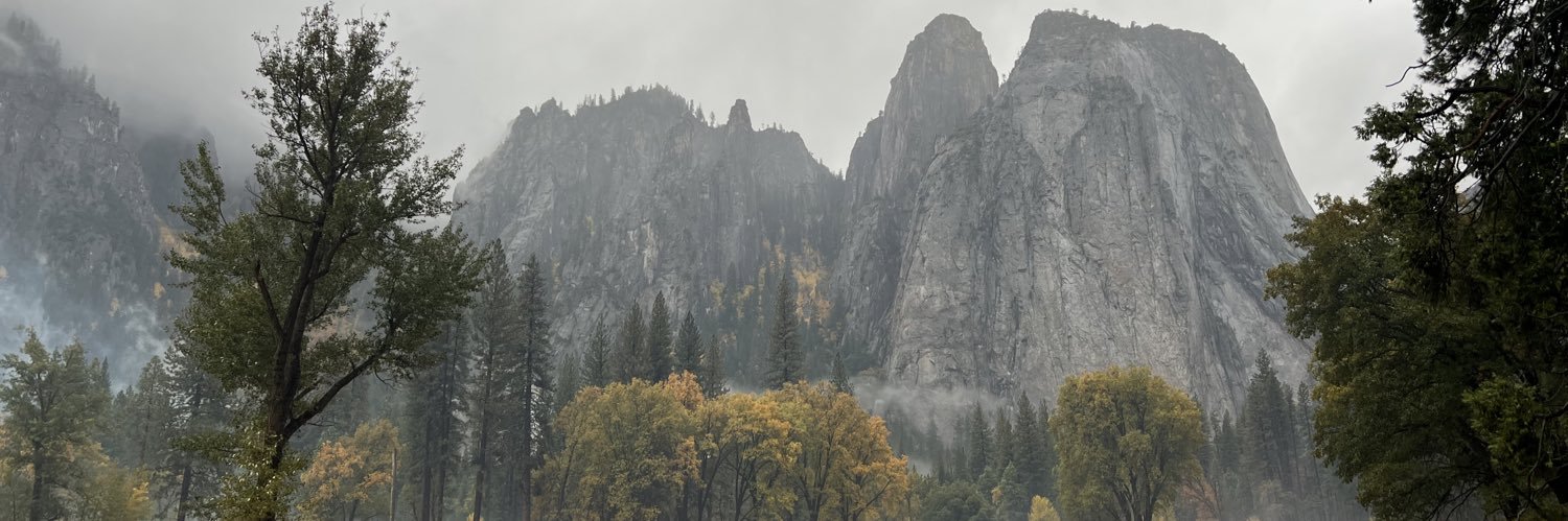 Felipe Bello M banner