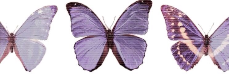 qsthy's profile banner image