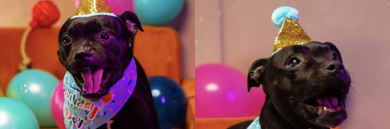 loumccourt's profile banner image