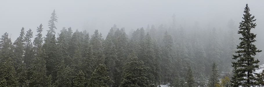 Emaytee23's profile banner image