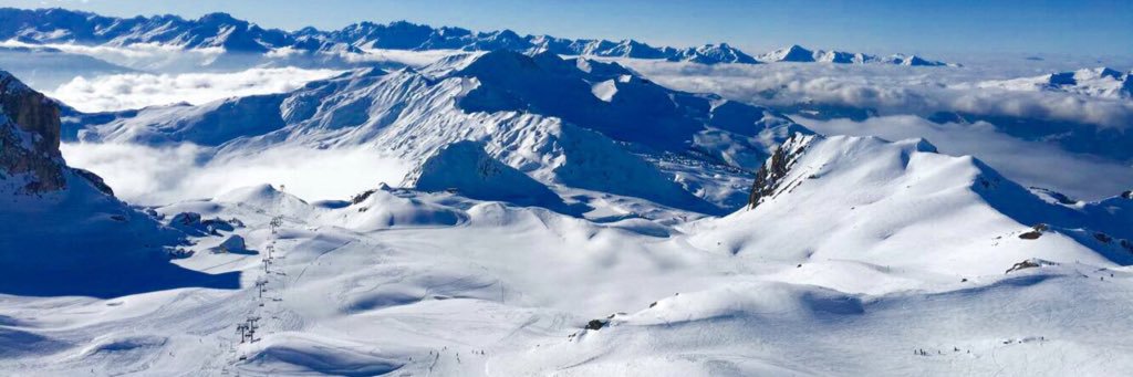 elliequantrill banner