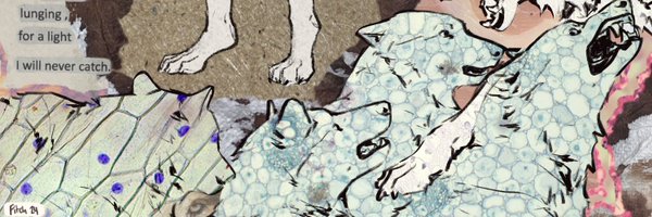 Fazledazzle Profile Banner