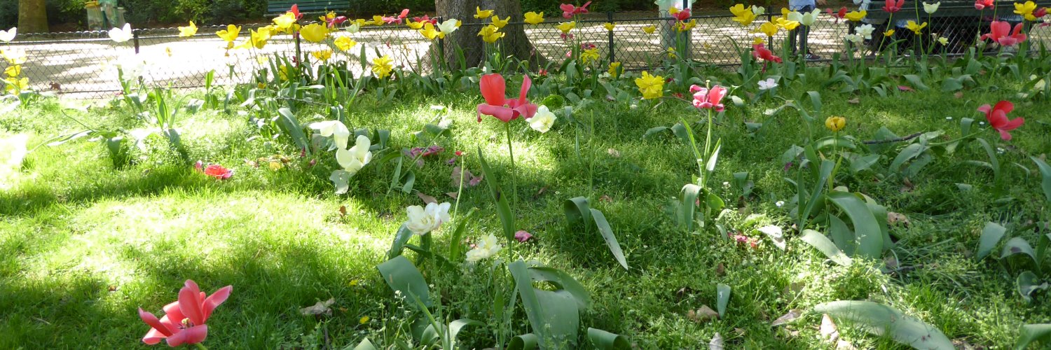 Eva María Mera I banner