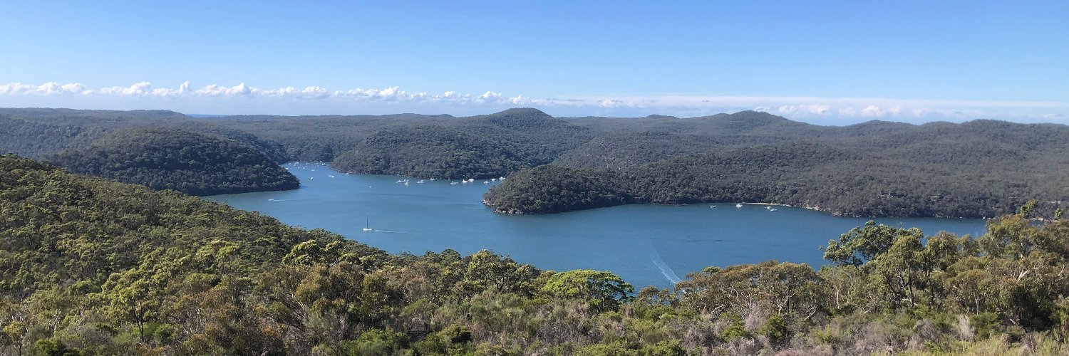 Neil Saunders banner