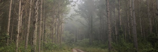 1stephenmalone Profile Banner