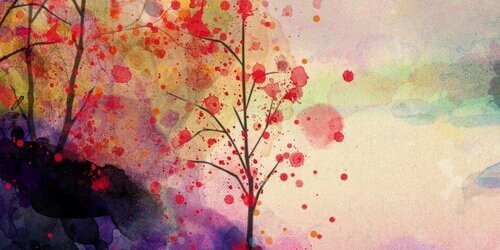 fida_baristella's profile banner image